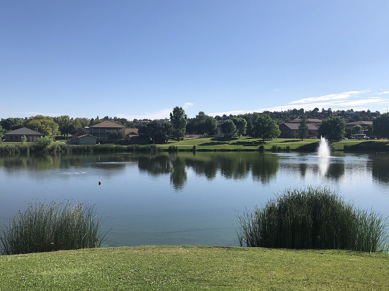 A calm lake in Green Valley Park under a clear blue sky, with a fountain on the right, clumps of reeds on the near bank, and a mown lawn, trees and low buildings along the far shore.