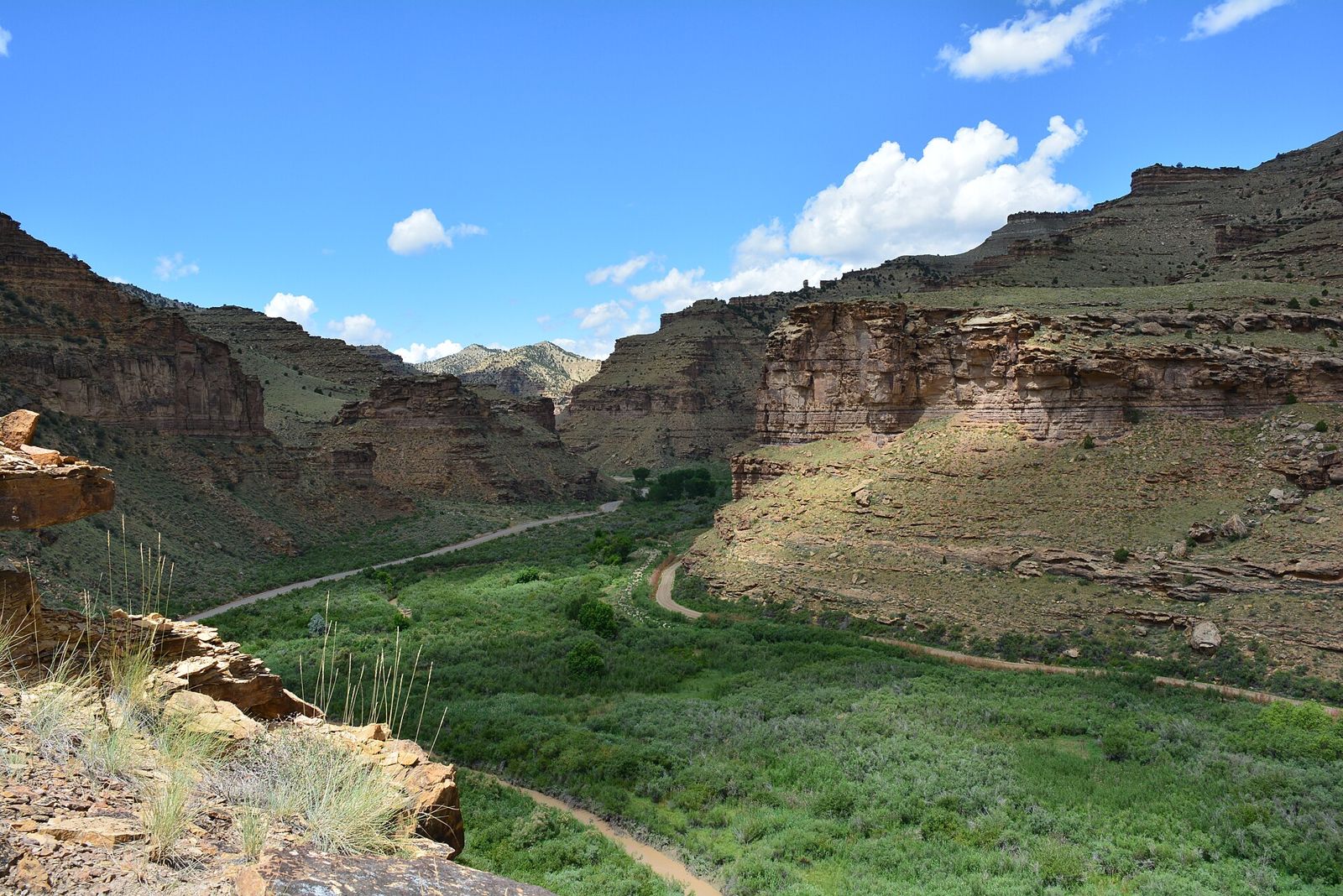 Green floor of Nine Mile Canyon below layered tan and red sandstone walls under a blue sky