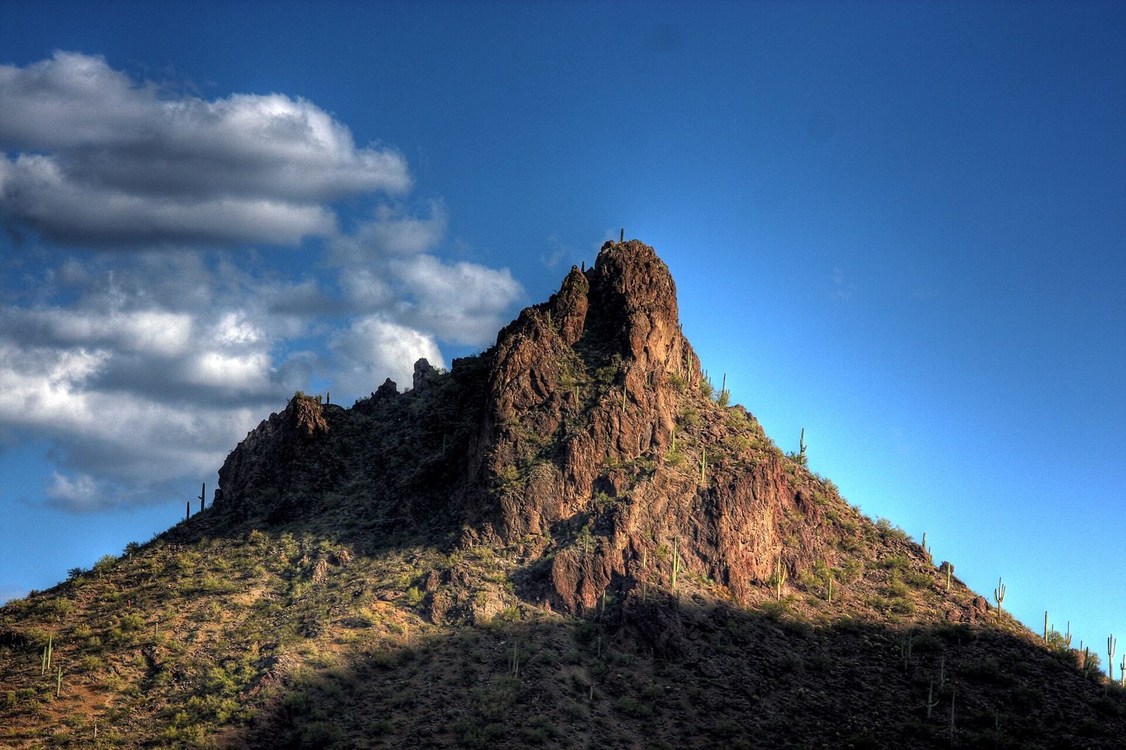 A jagged, rocky desert peak dotted with saguaro cactus, lit by low sun under a deep blue sky with white clouds.